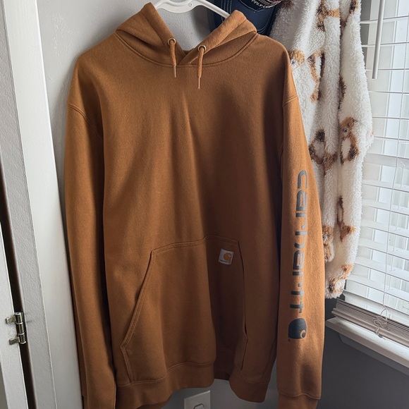 Carhartt Other - Carhartt Men's Warm Brown Hoodie